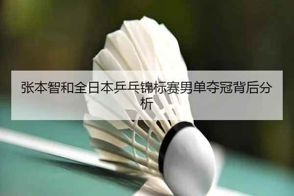 zhang-ben-zhi-he-quan-ri-ben-ping-pang-jin-biao-sai-nan-dan-duo-guan-bei-hou-fen-xi-2-164.jpg