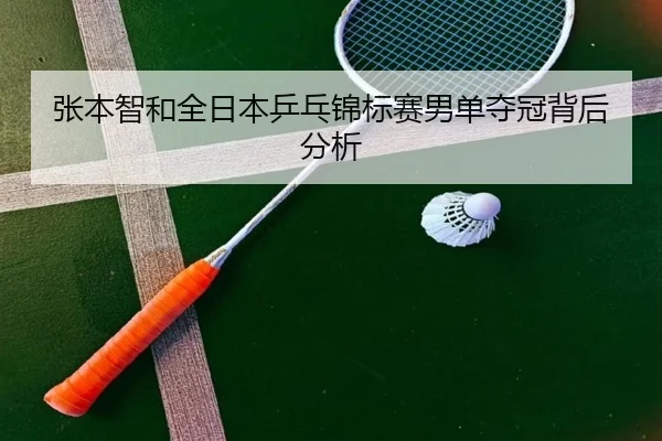 zhang-ben-zhi-he-quan-ri-ben-ping-pang-jin-biao-sai-nan-dan-duo-guan-bei-hou-fen-xi-1-685.jpg